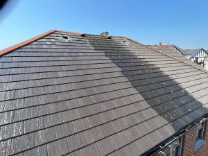 ADB Exterior Cleaning - Roof Cleaning
